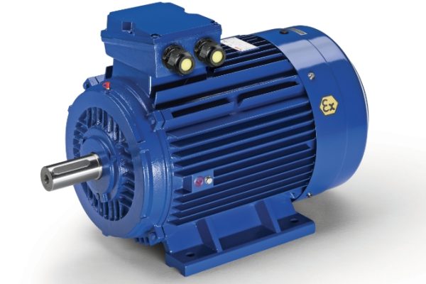 Industrial Electric Motors